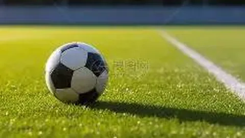 “2020-2021赛季德甲联赛第14轮赛事集锦”